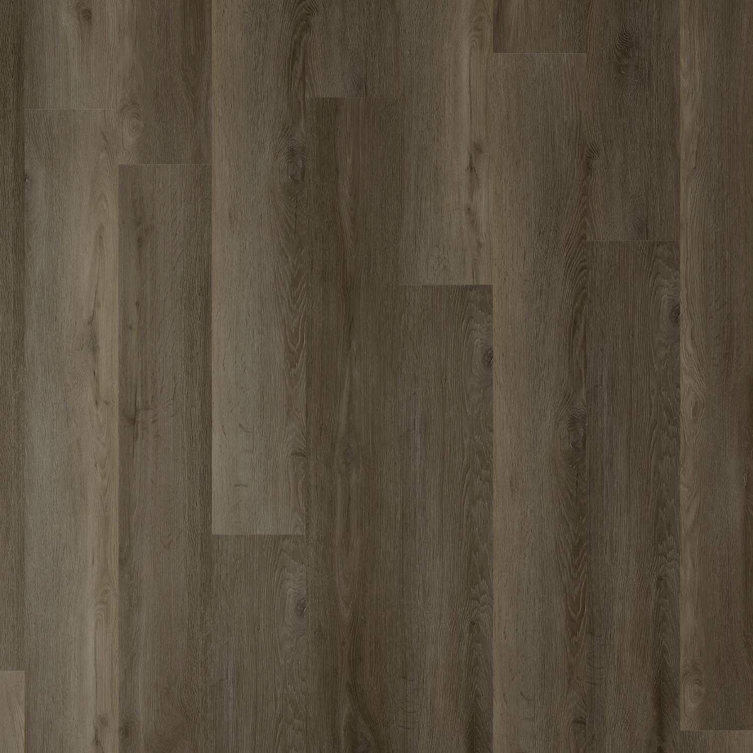 Zenith 1800 Hybrid - Eclipse Shadow