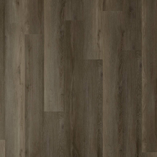 Zenith 1800 Hybrid - Eclipse Shadow