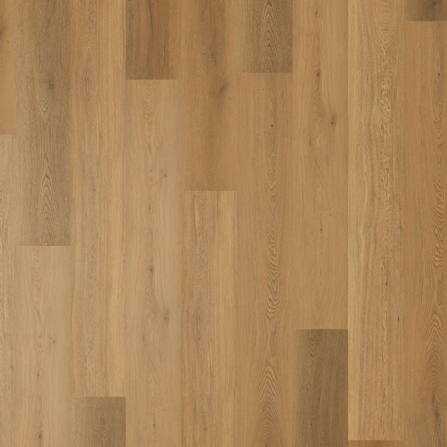 Zenith 1800 Hybrid - Galactic Grove