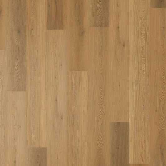 Zenith 1800 Hybrid - Galactic Grove