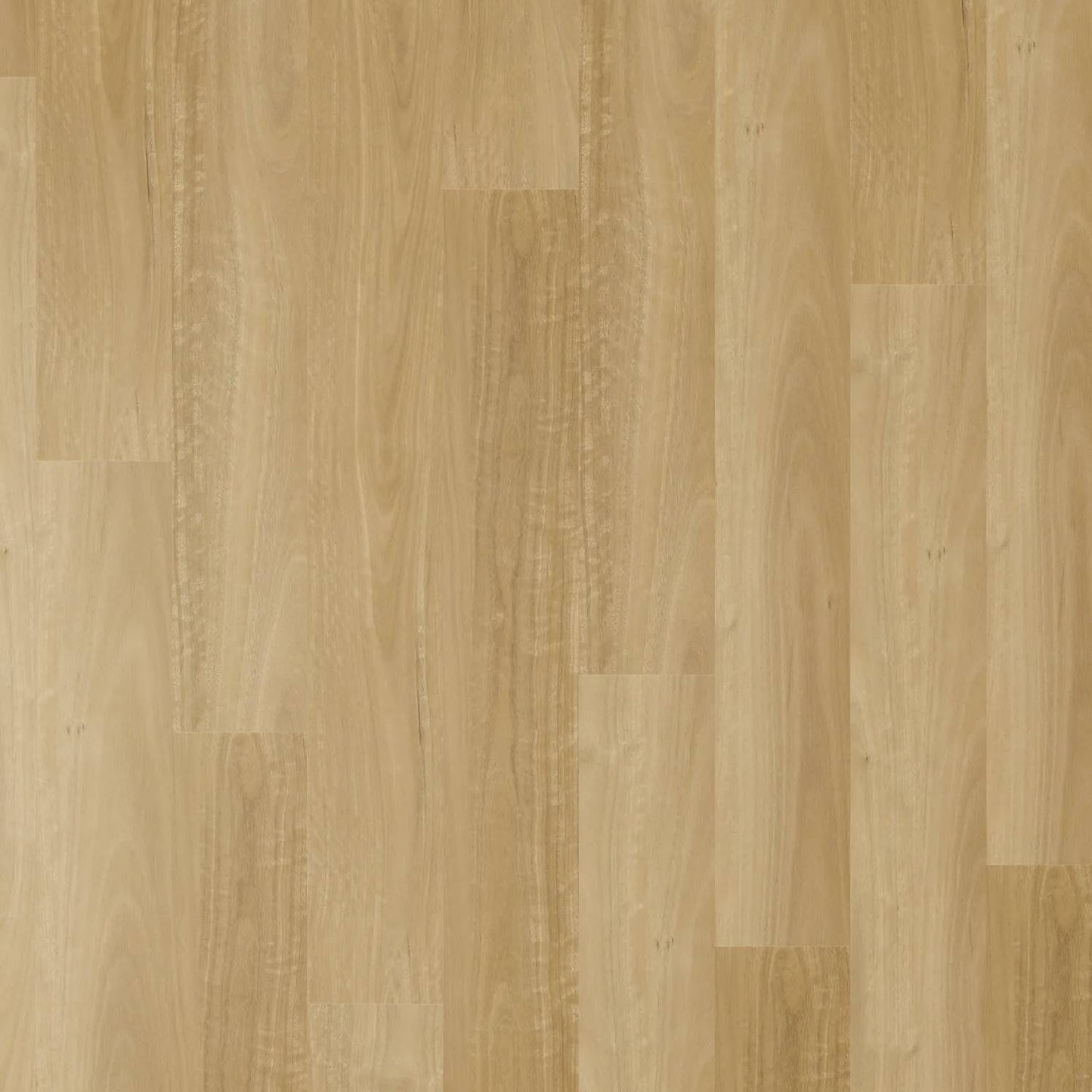 Zenith 1800 Hybrid - Prime Blackbutt