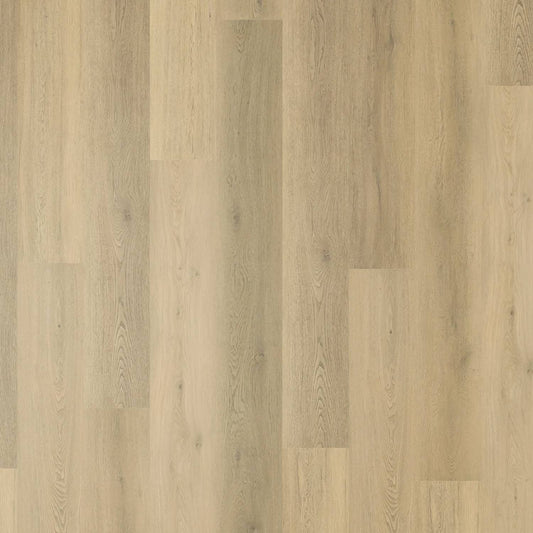 Zenith 1800 Hybrid - Solar Drift