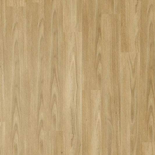 Zenith 1800 Hybrid - Starry Spotted Gum