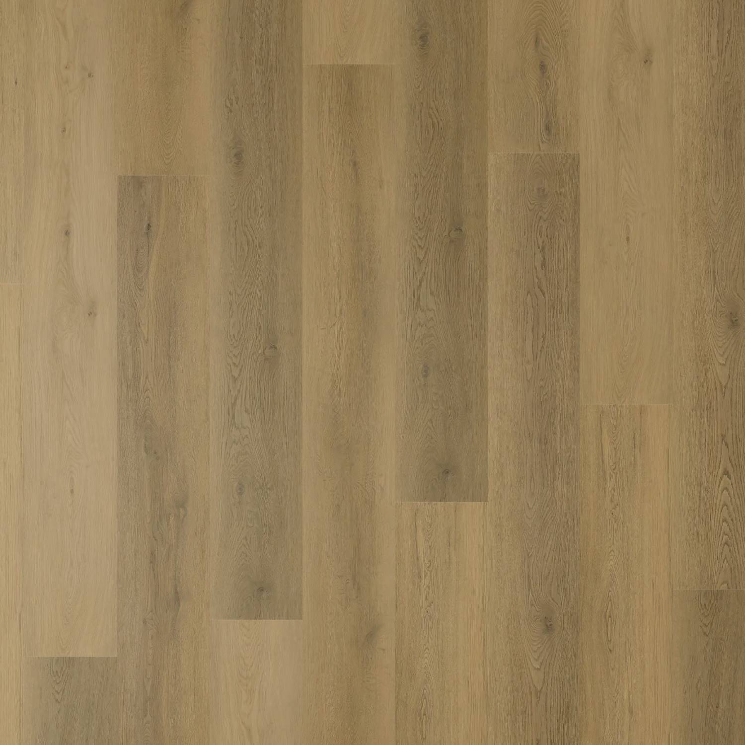 Zenith 1800 Hybrid - Stellar Oak