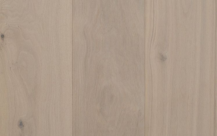 Artistry Insignia European Oak - Snowdrop