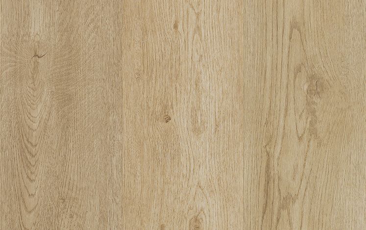 Kodiak Hybrid - Scenic