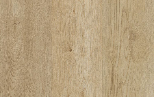 Kodiak Hybrid - Scenic