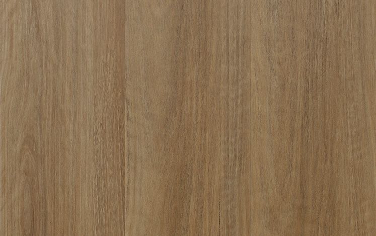 Kodiak Lite - Country Spotted Gum