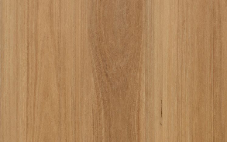 Kodiak Lite - Mountain Blackbutt