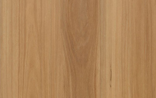 Kodiak Lite - Mountain Blackbutt