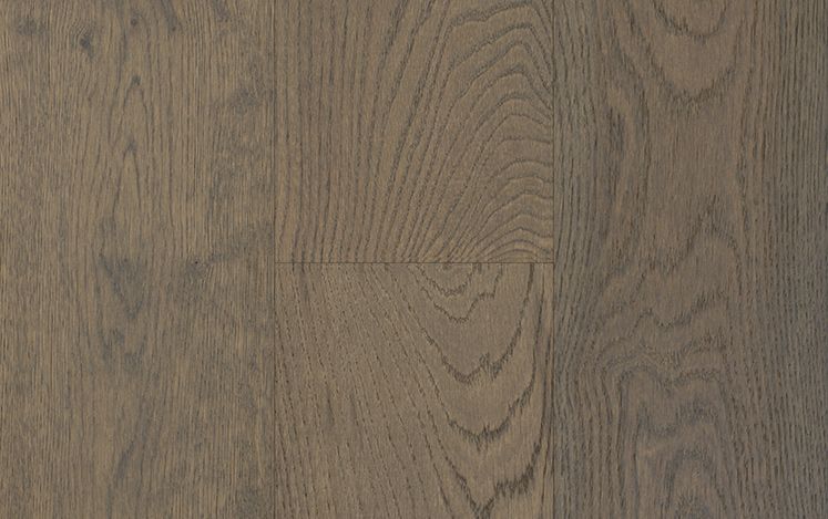 Coastline Collection - Coogee