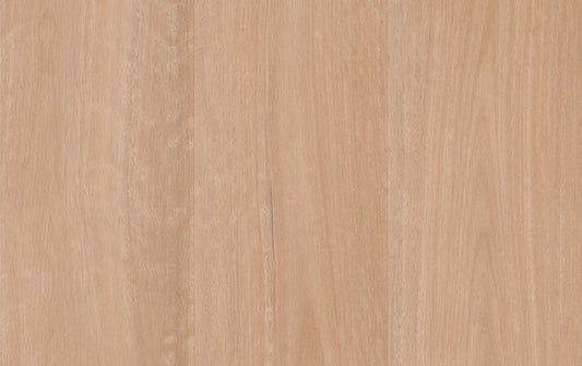 Empress Hybrid - Chai Blackbutt