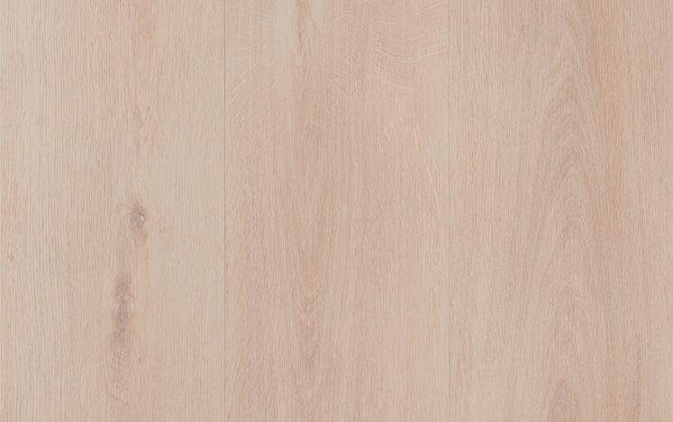 Empress Hybrid - Ember