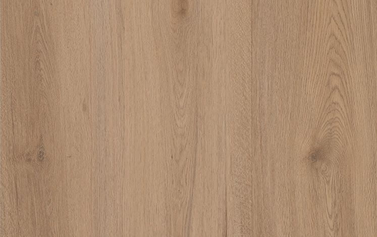 Empress Hybrid - Ylang