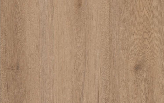 Empress Hybrid - Ylang