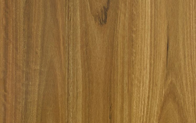 Reflections Gencore + - Bushland Spotted Gum