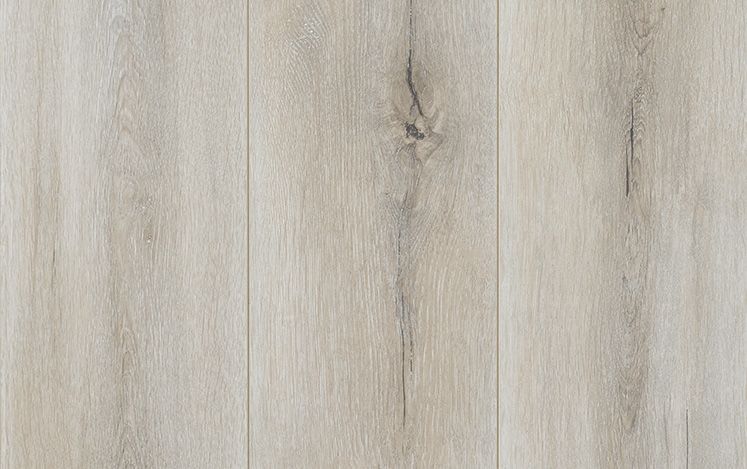 Reflections Gencore + - Jasper