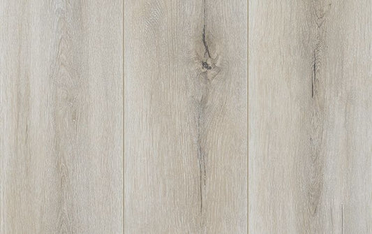 Reflections Gencore + - Jasper