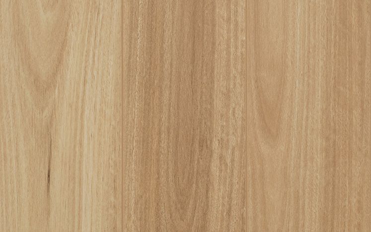 Reflections Gencore + - Mid Coast Blackbutt