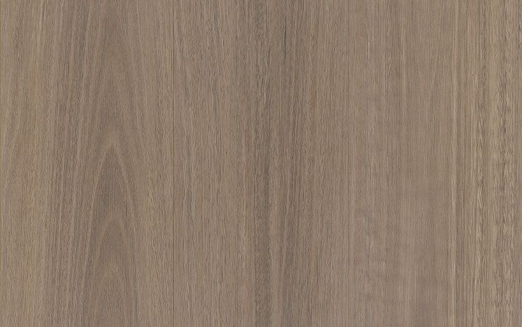 Reflections Gencore + - Riverland Spotted Gum