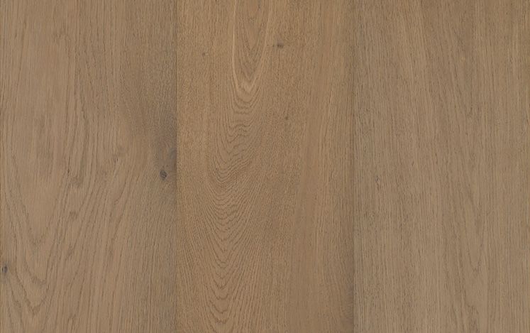 GrandOak Monarch - Fawn