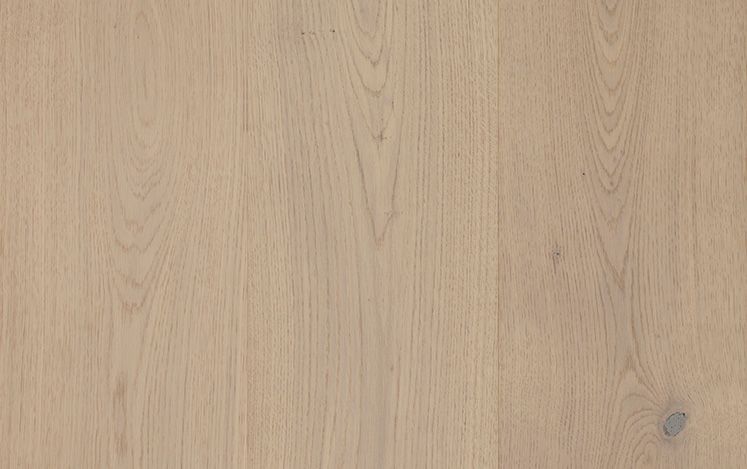 GrandOak Monarch - Tawny Grey