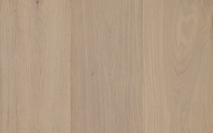 GrandOak Regal - Clarence