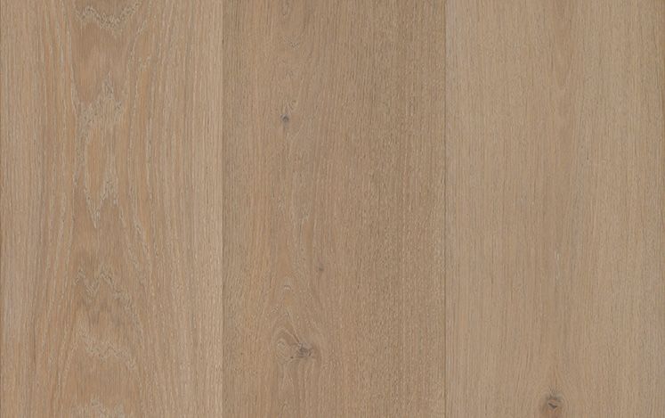 Grand Oak Regal - Dover