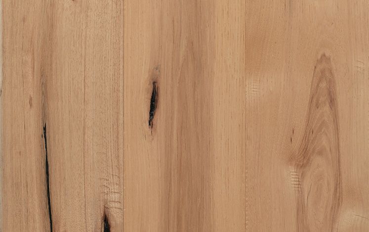 Hickory Impressions Homestead - Nutmeg