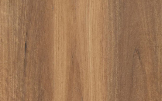 Nouvelle Acoustic - Alpine Spotted Gum