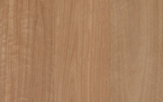 Nouvelle Acoustic - Banksia Blackbutt