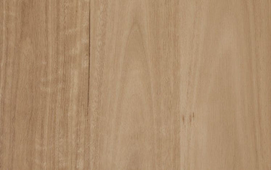 Nouvelle Acoustic - Harbour Blackbutt