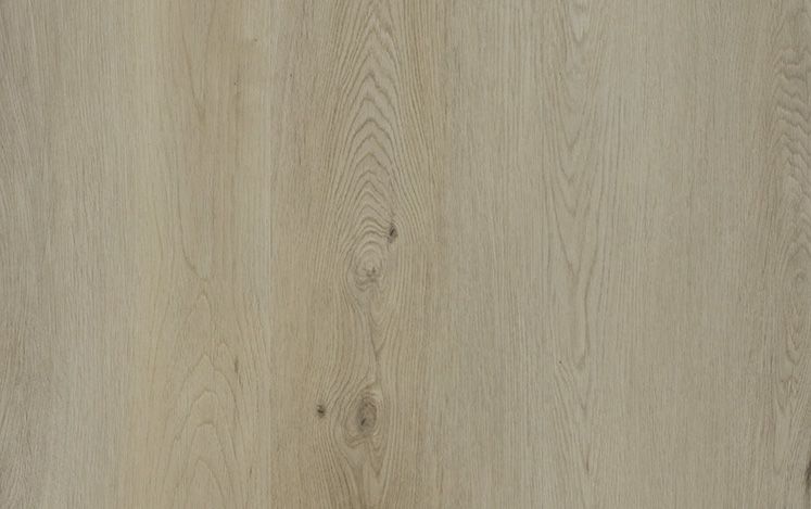 Nouvelle Acoustic - Limestone Grey