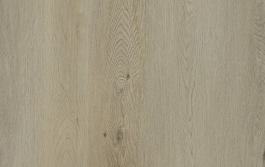 Nouvelle Acoustic - Limestone Grey