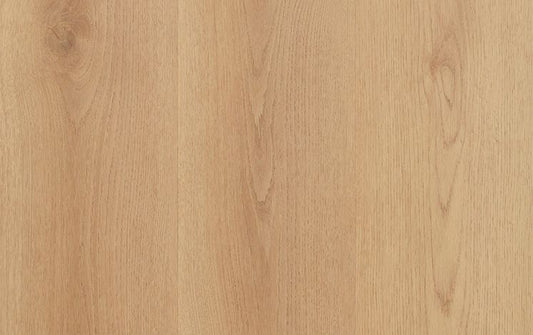 Nouvelle Acoustic - Macadamia