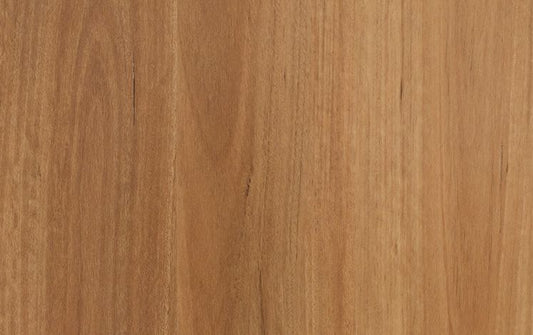 Nouvelle Acoustic - New England Blackbutt