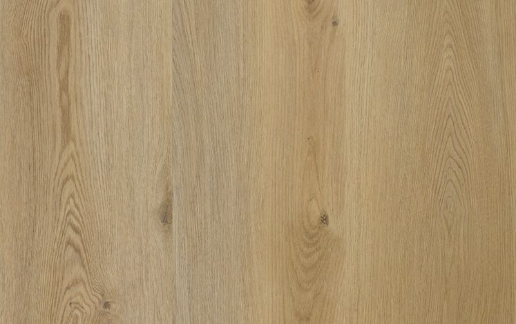 Nouvelle Acoustic - Pecan