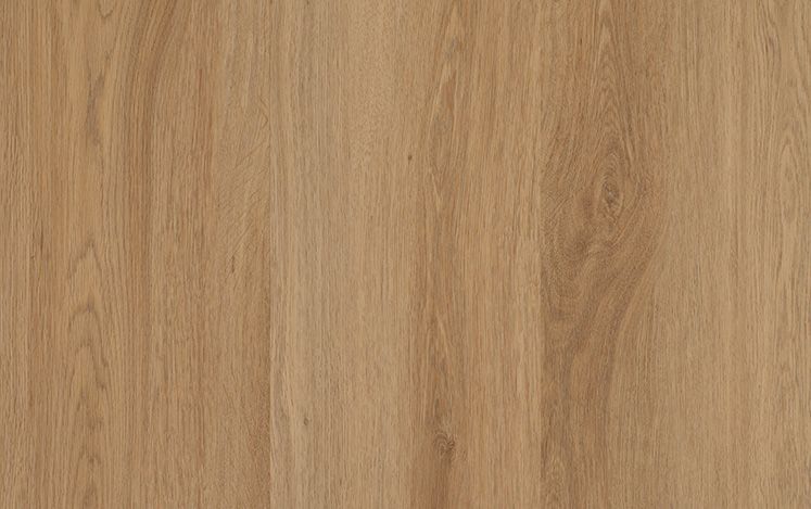 Nouvelle Acoustic - Rygrass