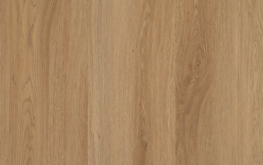 Nouvelle Acoustic - Rygrass