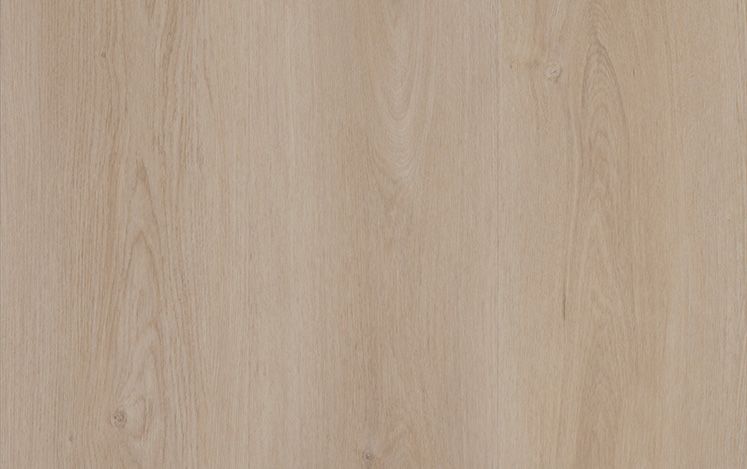 Nouvelle Acoustic - Whisper