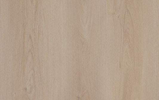 Nouvelle Acoustic - Whisper