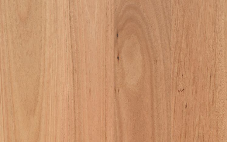 Opulence Australian Native - Coastal Blackbutt Square Edge Narrow