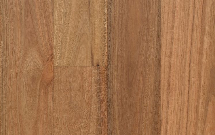 Opulence Australian Native - Spotted Gum Square Edge Narrow