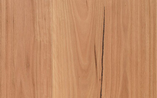 Opulence Australian Native - Coastal Blackbutt Square Edge Wide