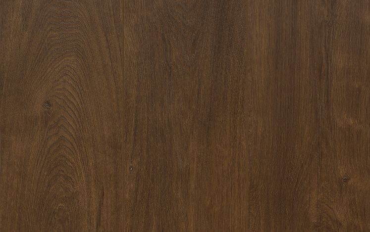 Reflections Evoke - Bronco