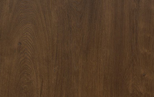 Reflections Evoke - Bronco