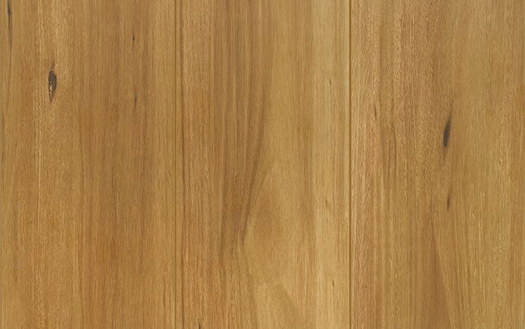 Reflections Lifestyle - Spotted Gum