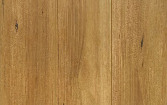 Reflections Lifestyle - Spotted Gum