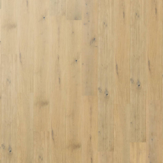 Chateau Oak - Willow Oak