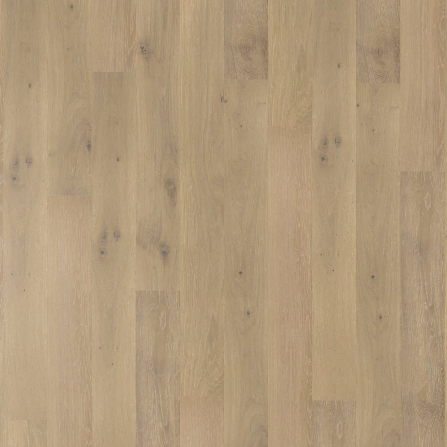 Chateau Oak - Alpine Oak